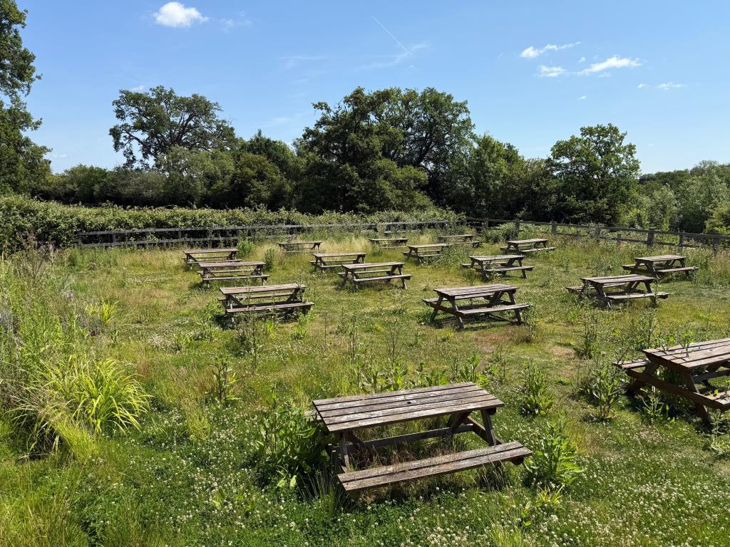 Lot: 102 - PUBLIC HOUSE - Garden area with picnic benches
